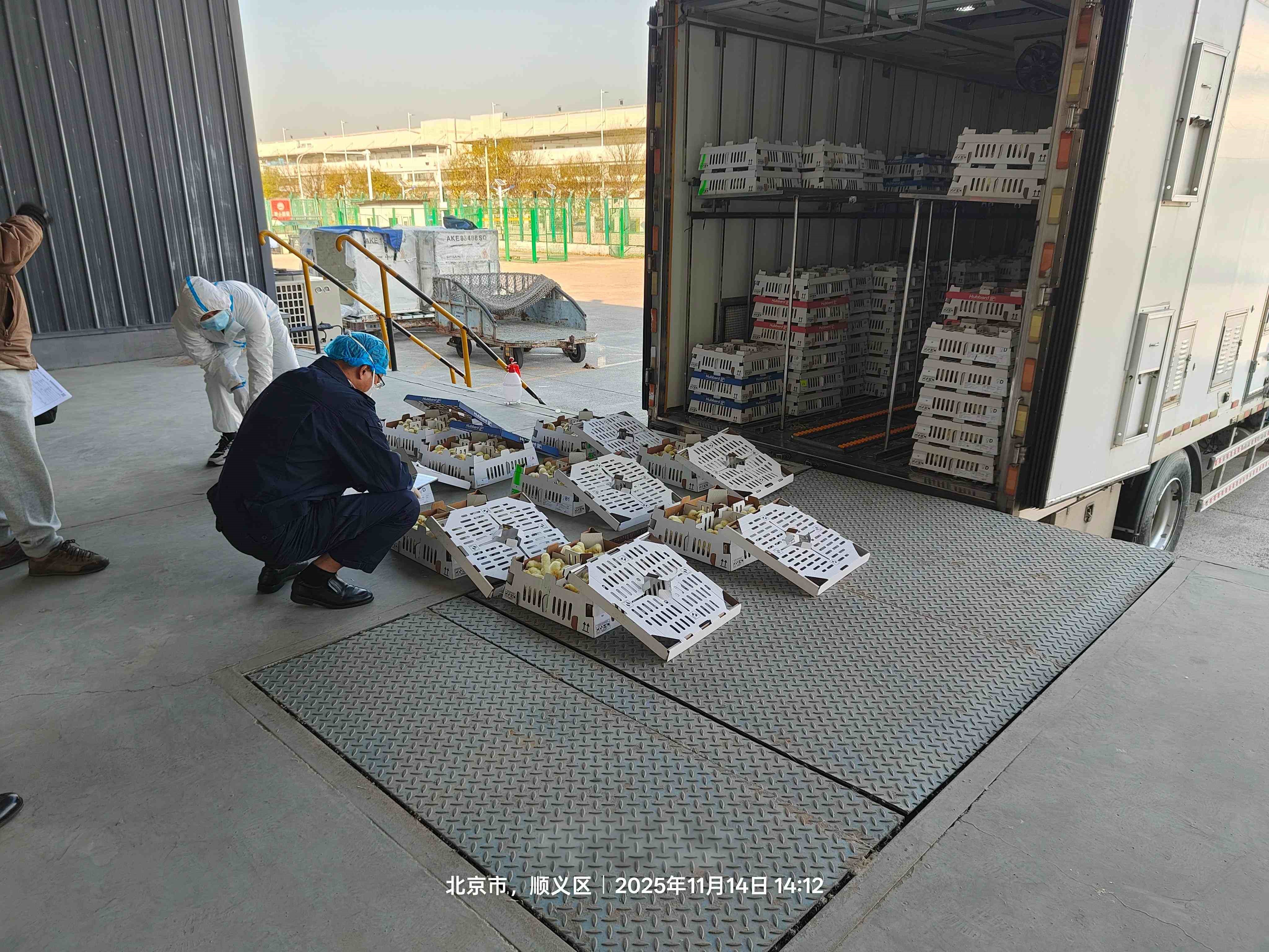 【喜讯】4001百老汇股份再引种1.6万套祖代肉种鸡，，引种总量突破23.6万套