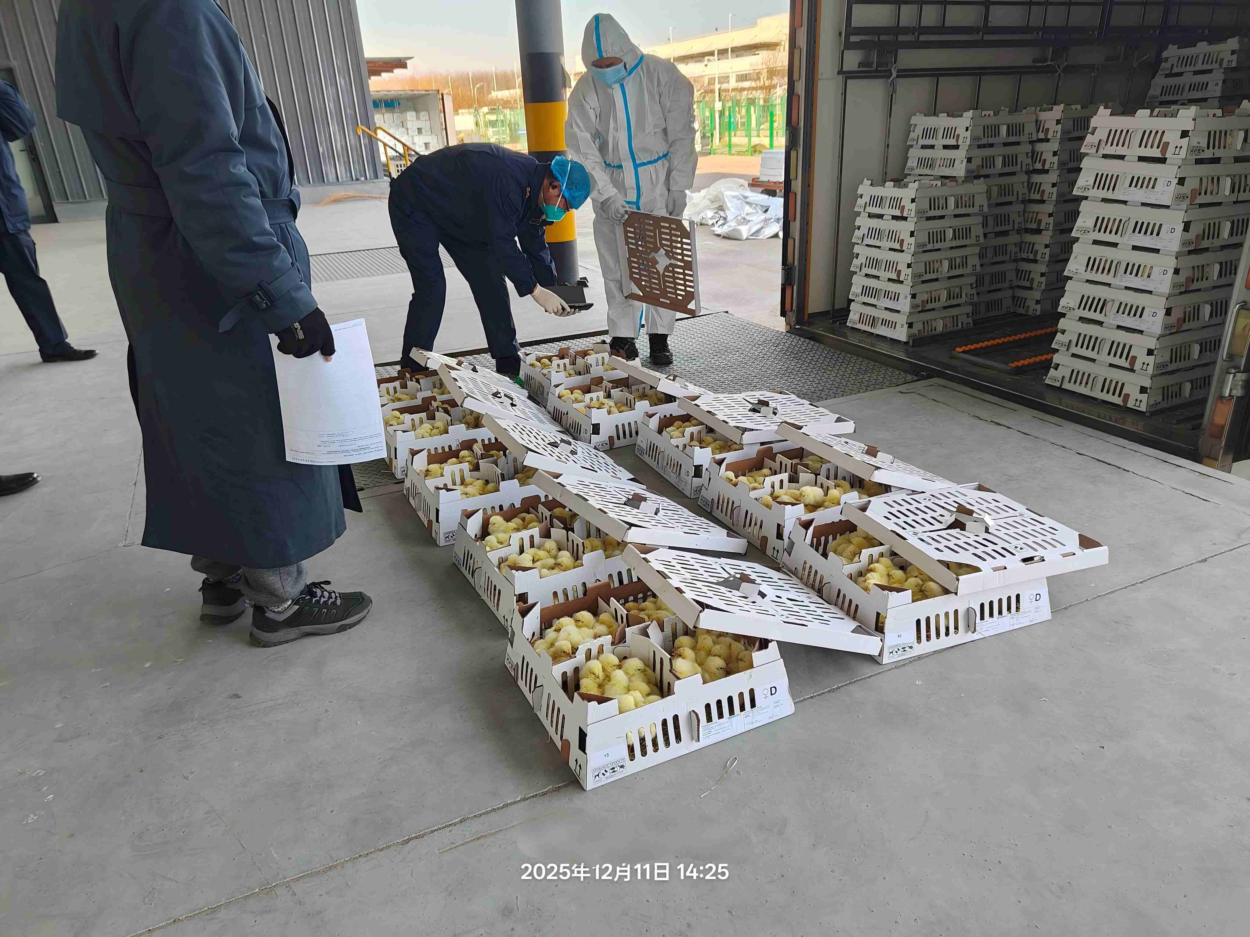 【喜讯】4001百老汇股份年度引种圆满收官，，累计引种量高达26.6万套
